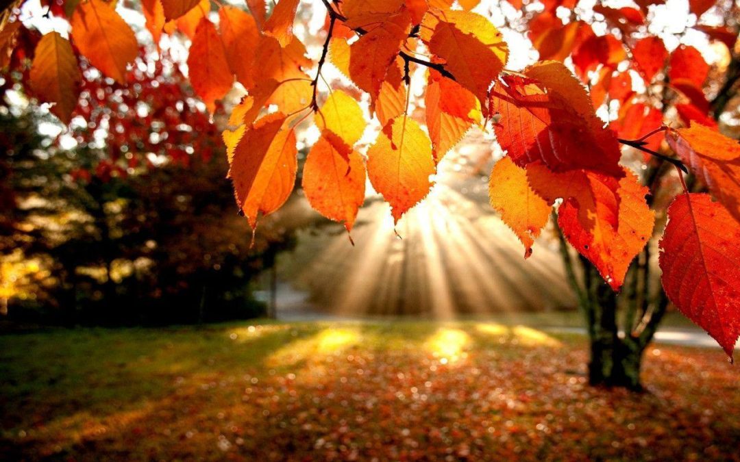 Pausing to Honor Autumn Equinox