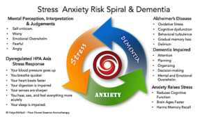 Stress_anxiety_risk_spiral